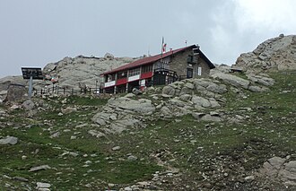 Wikimedia Commons