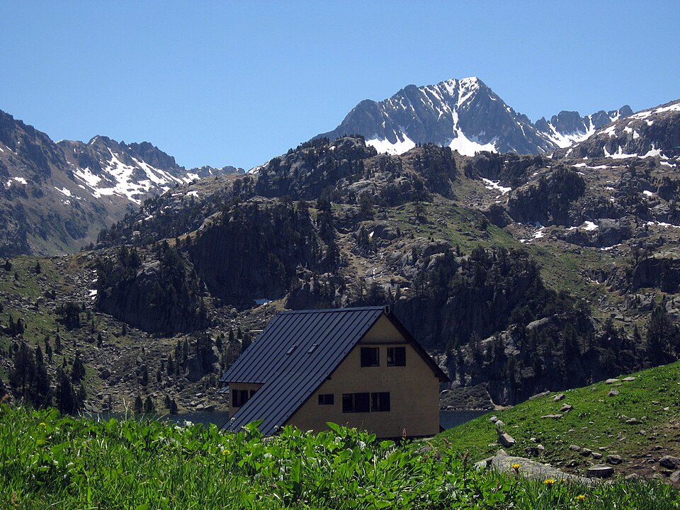 Wikimedia Commons