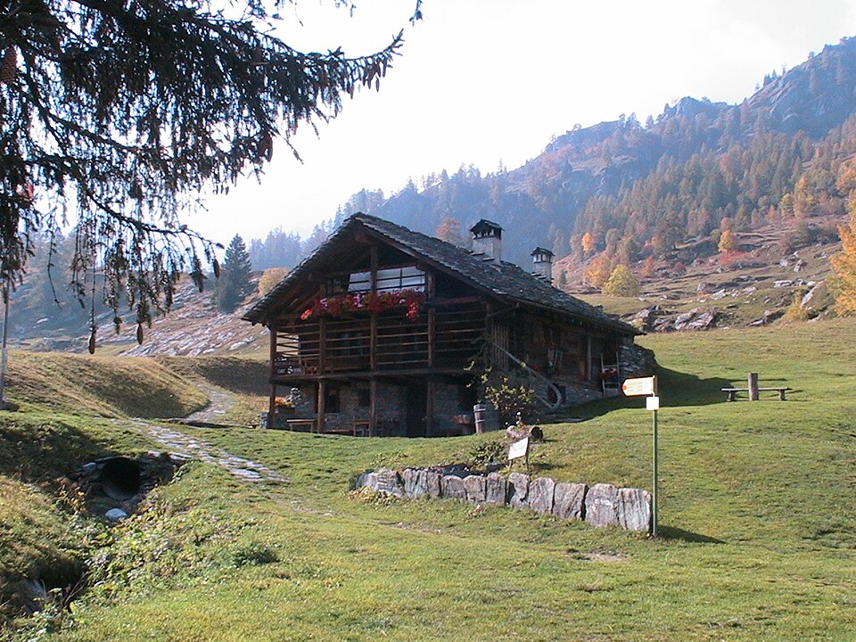 Wikimedia Commons