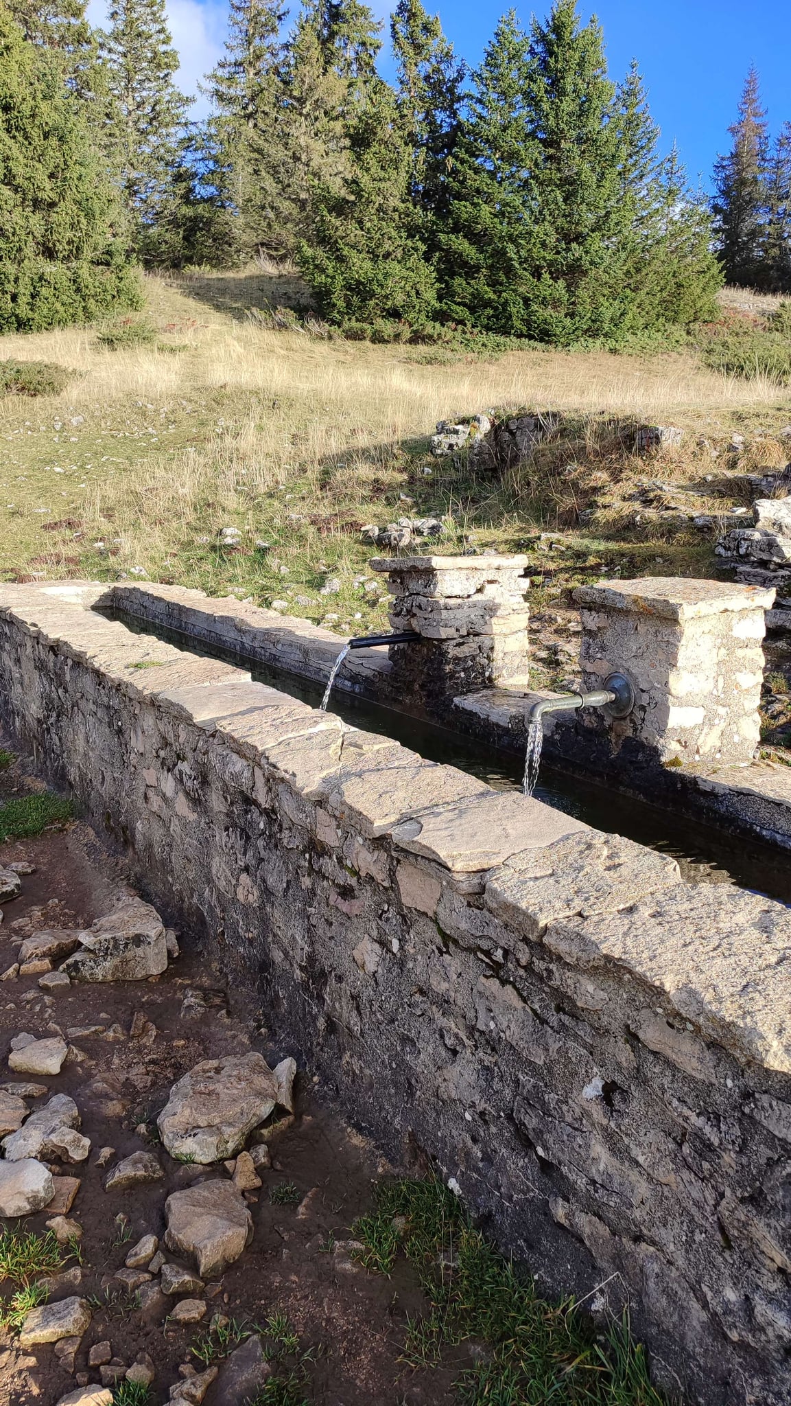 Fontaine de Gerland