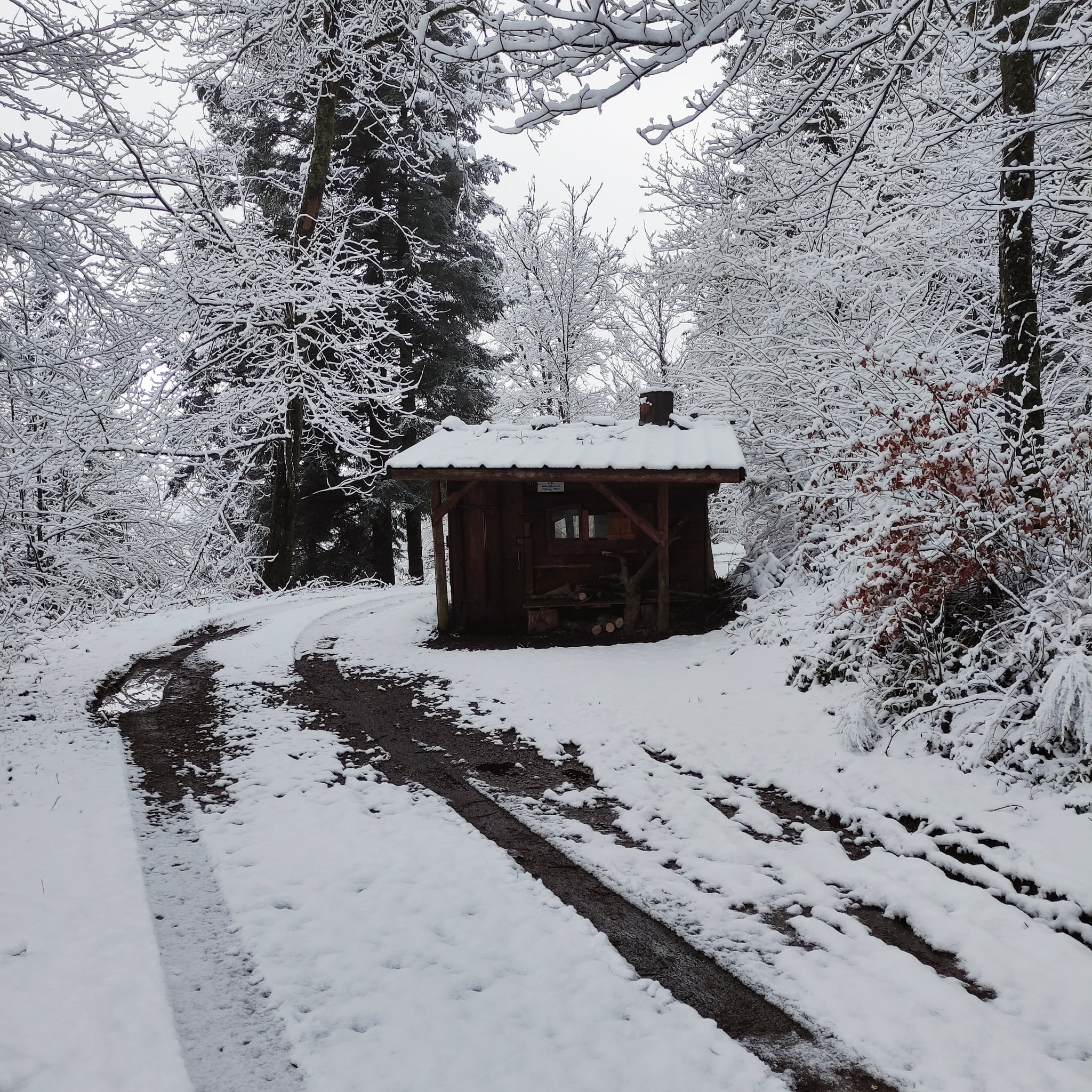 Cabane du Dersou