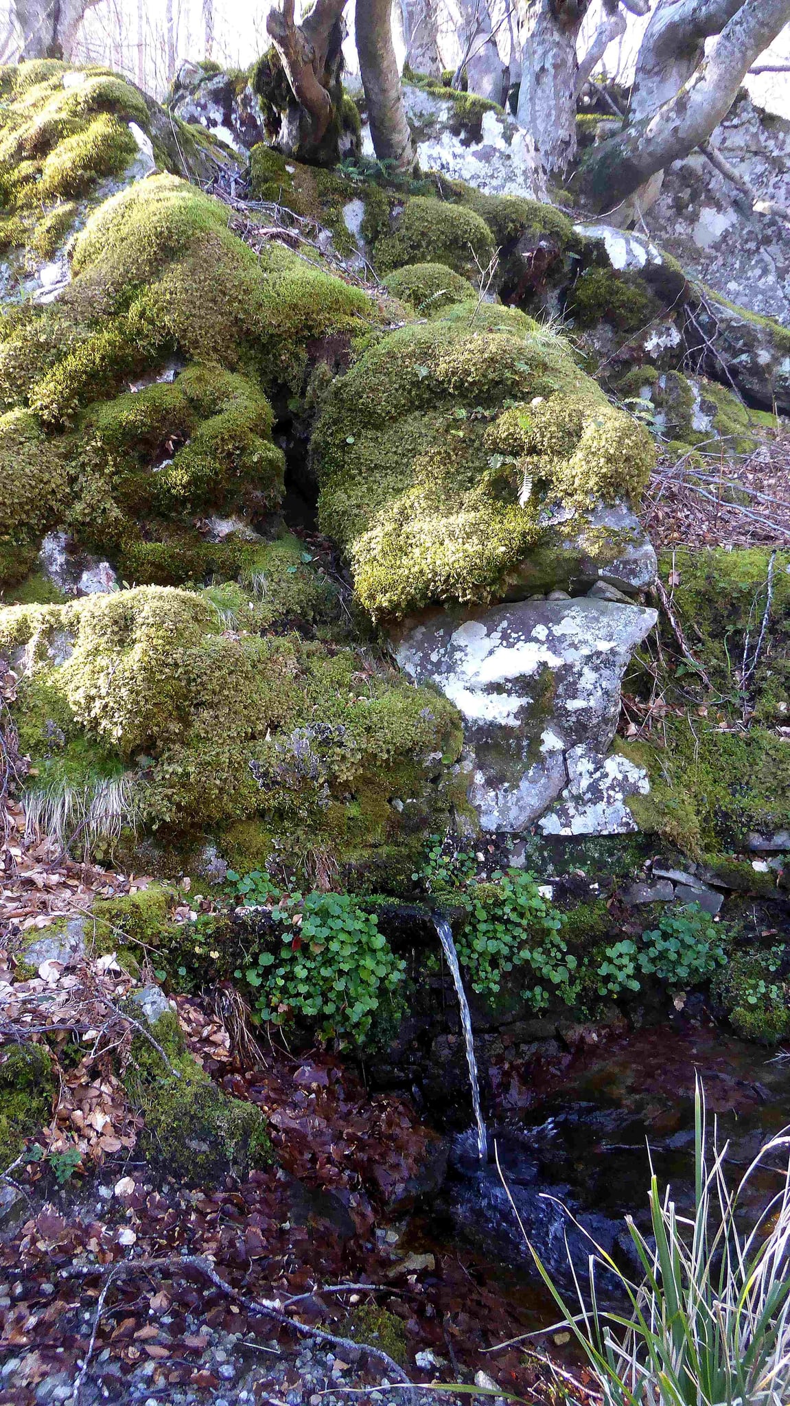 Fontaine de Caracutu