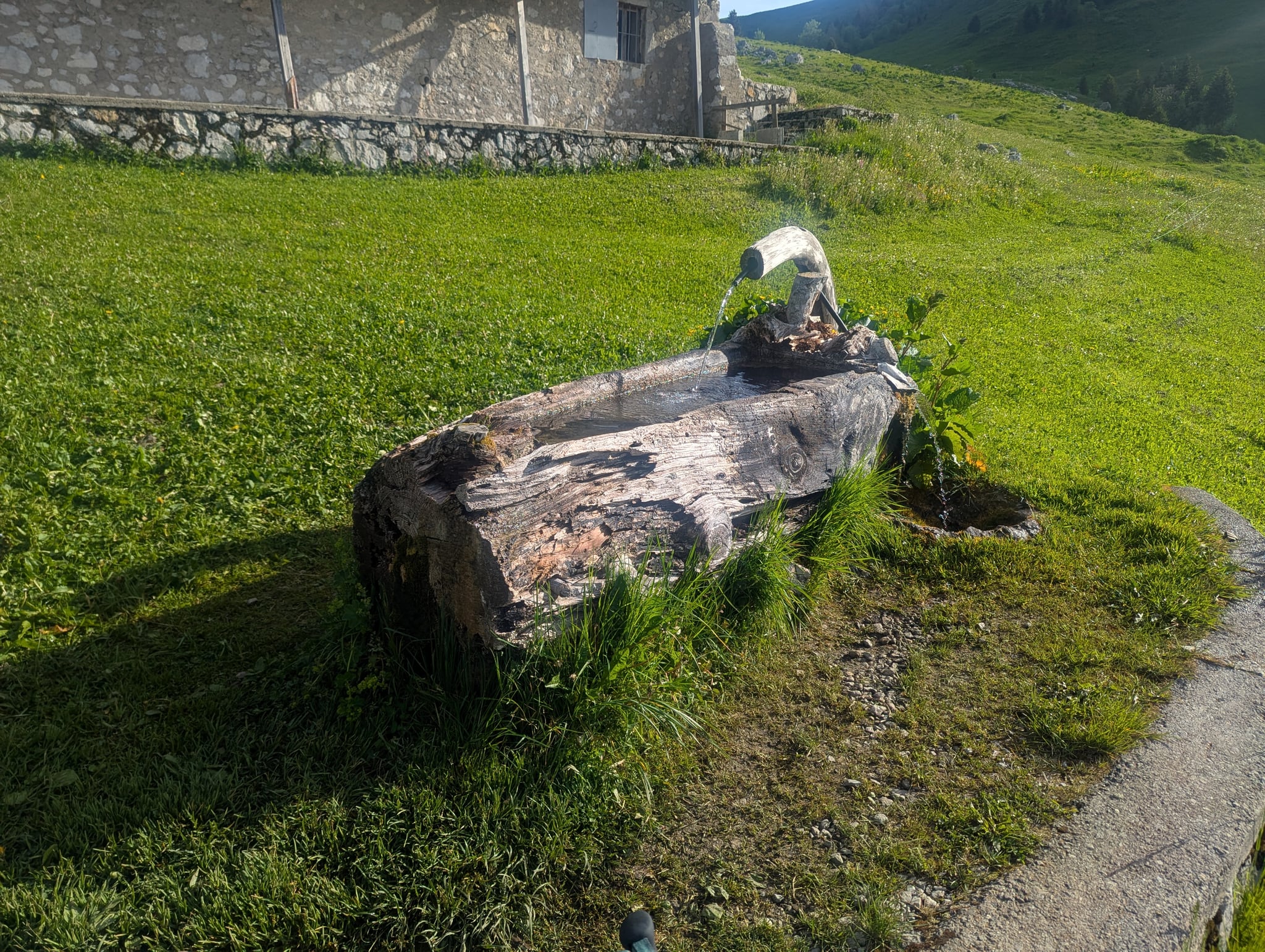 Source captée d'Orgeval