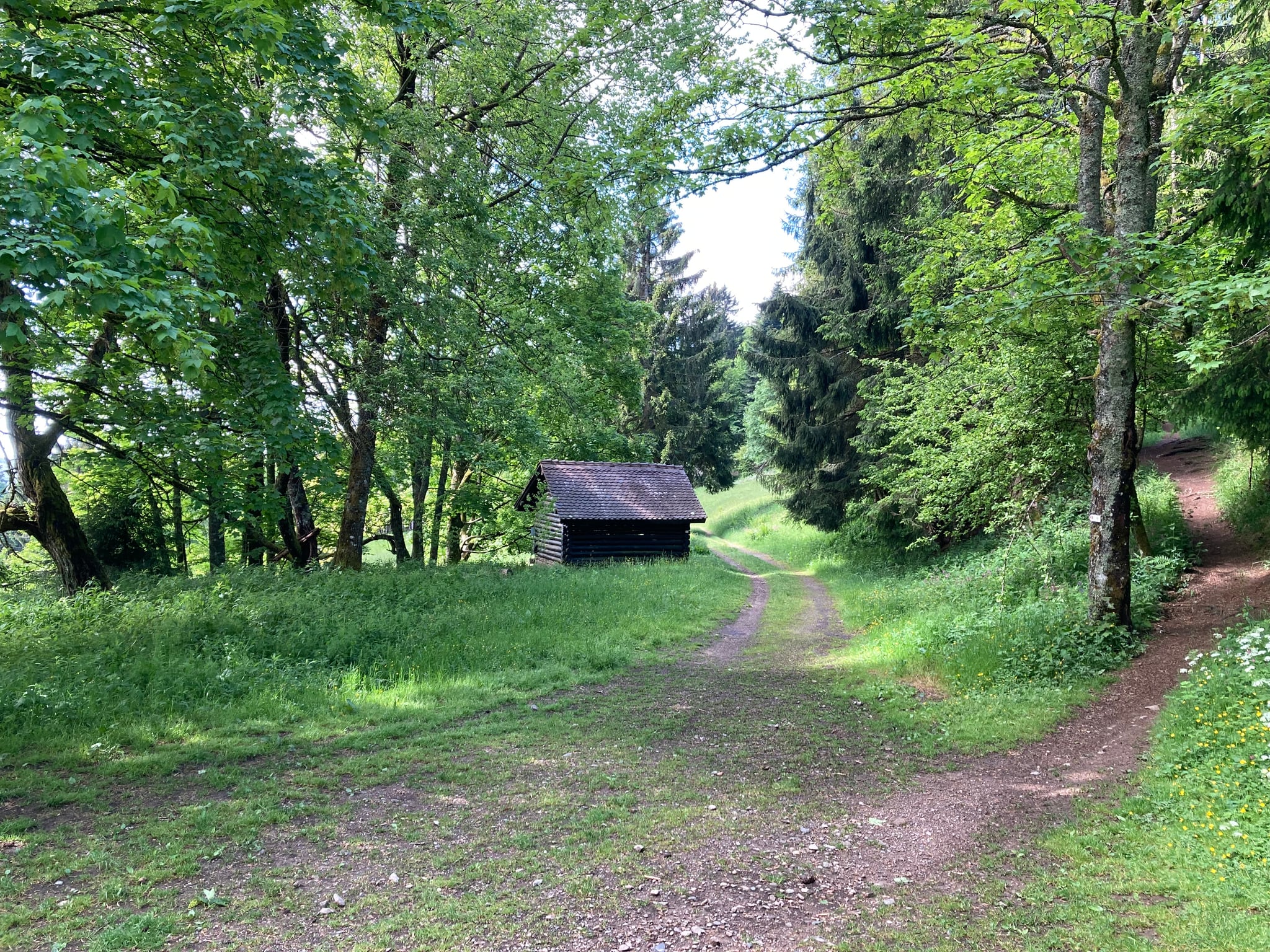 La vieille Métairie (ou abri Burger)