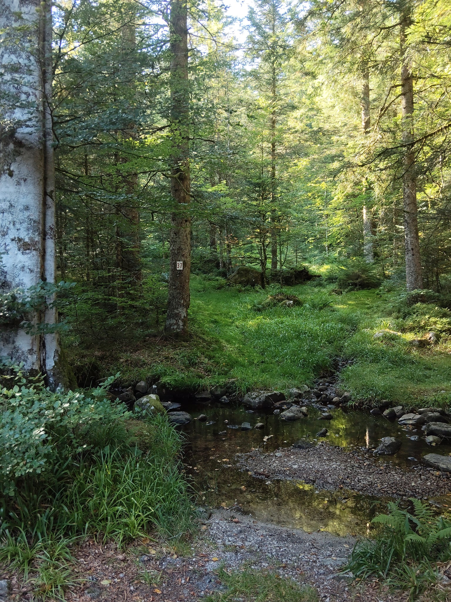 Refuge du Hinterbockloch