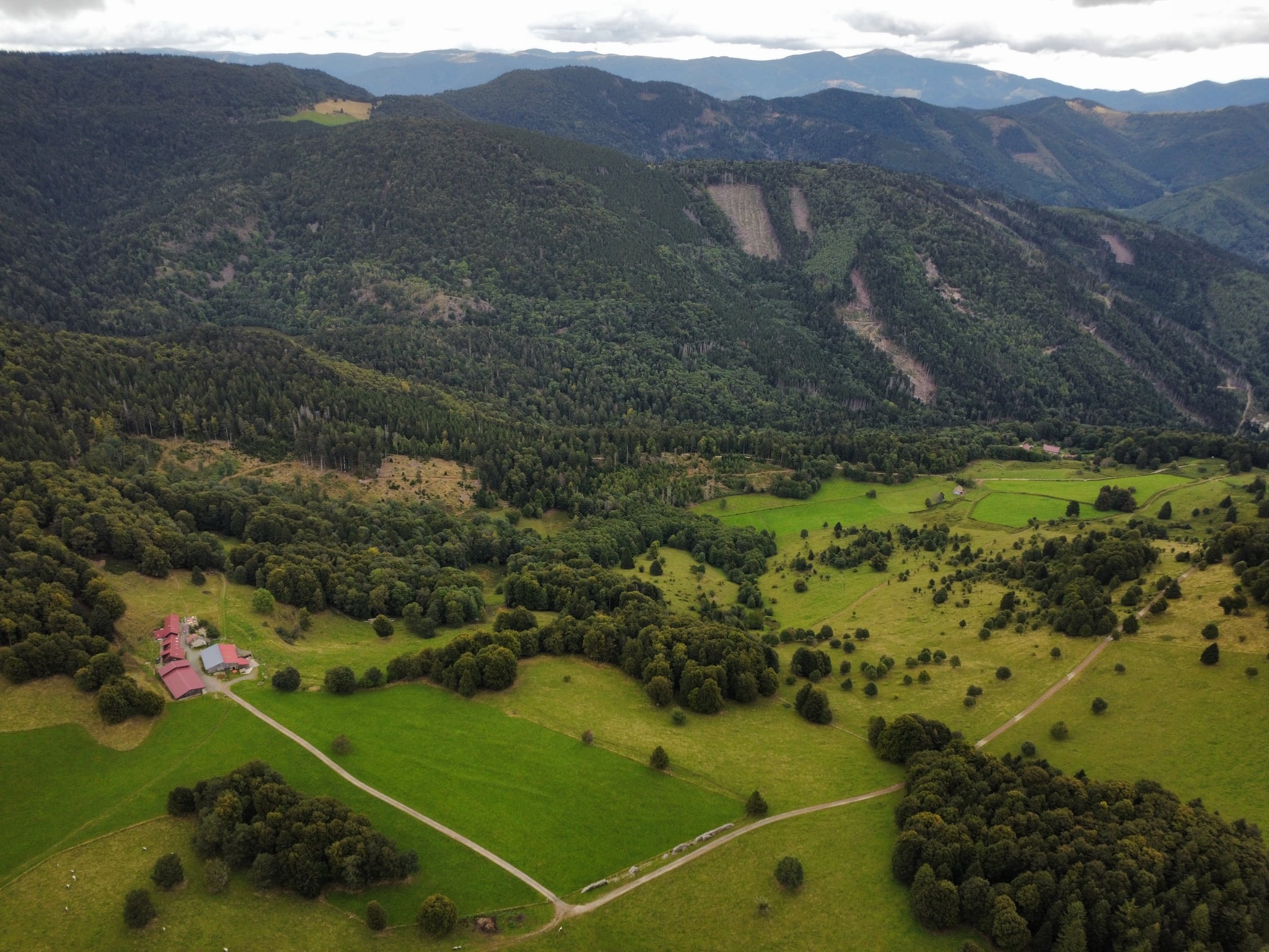 Lagerwald Hütte (Le Gresson)