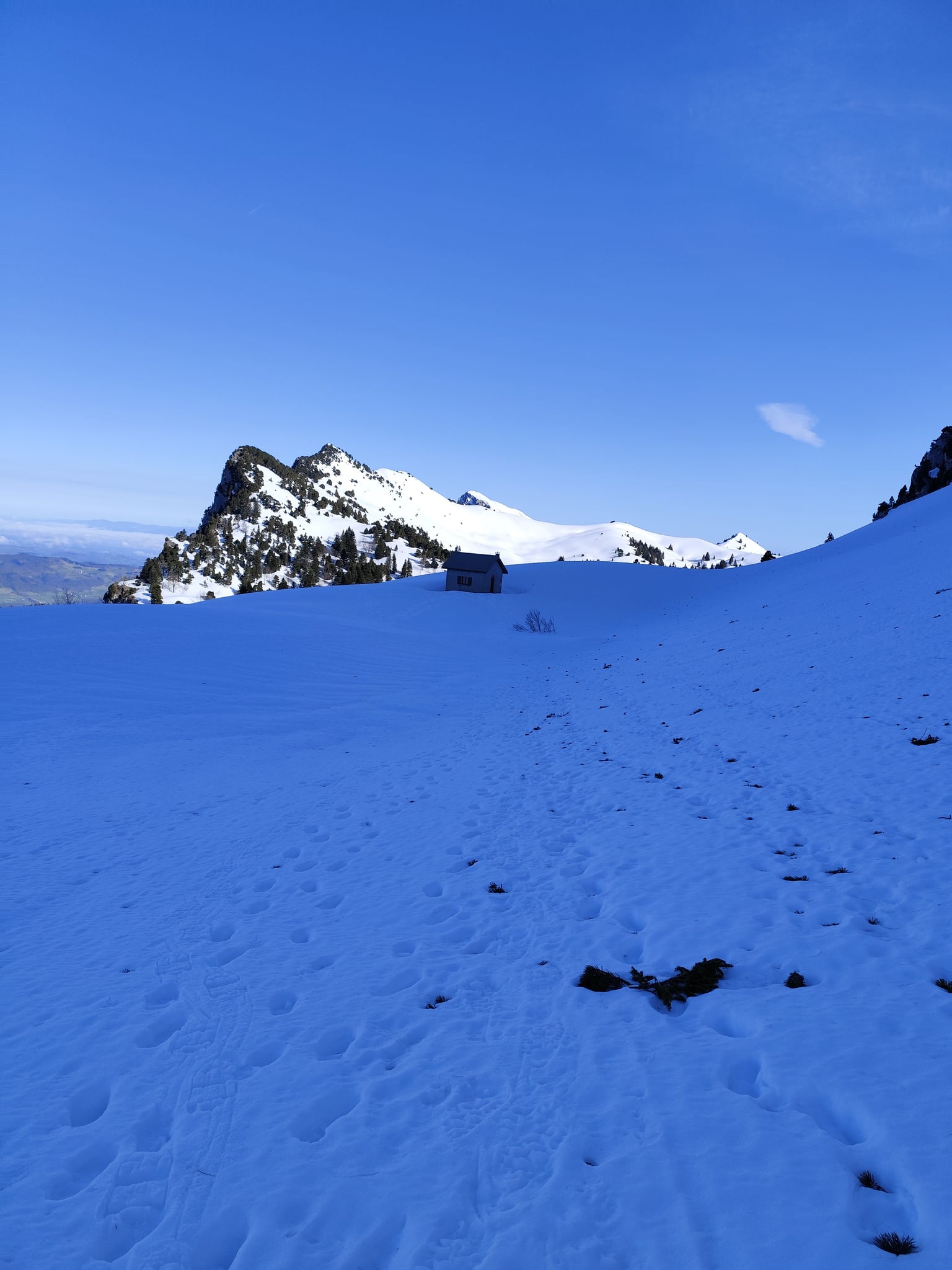 Chalet des Bannettes