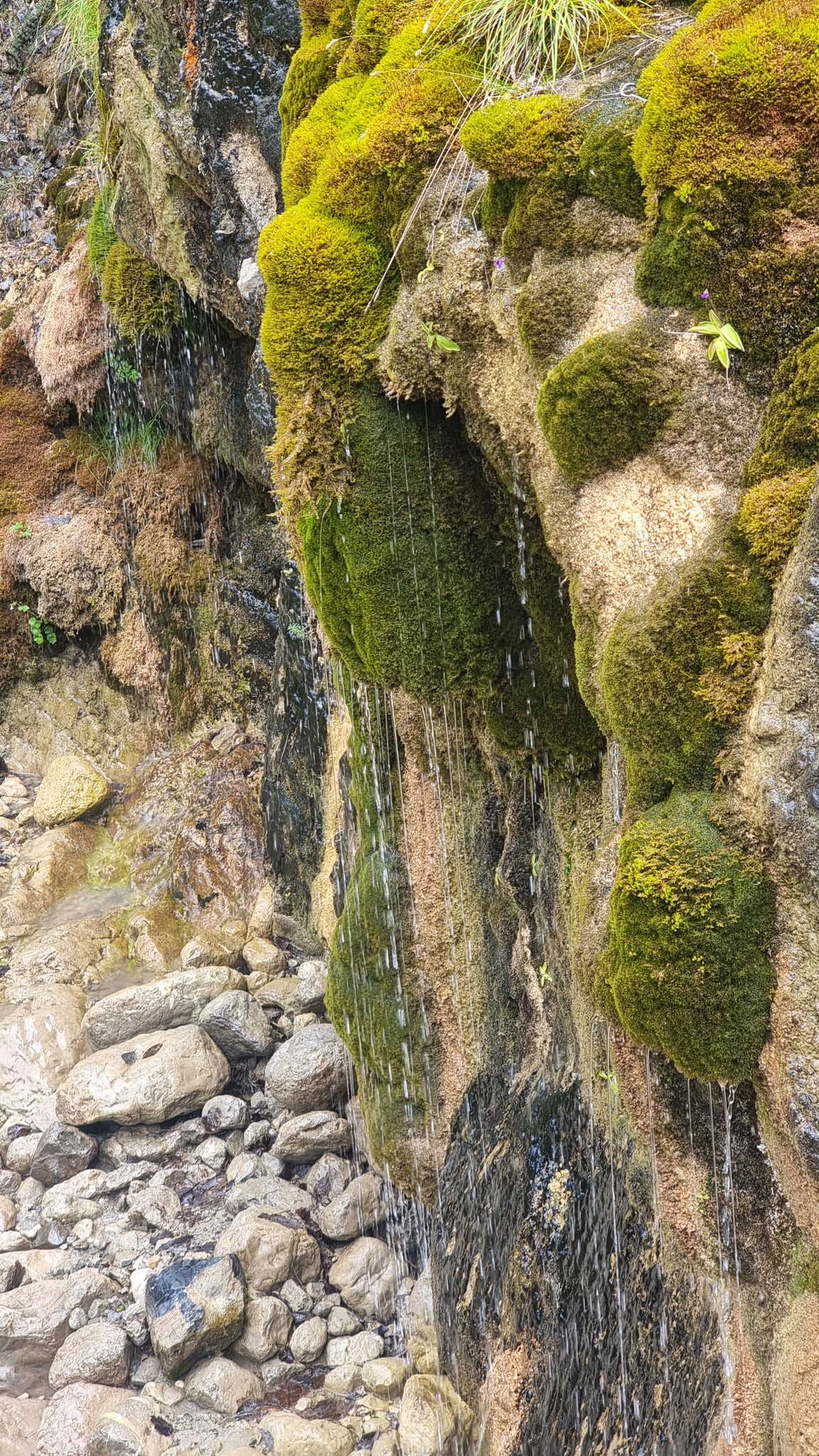 Source du Piouret