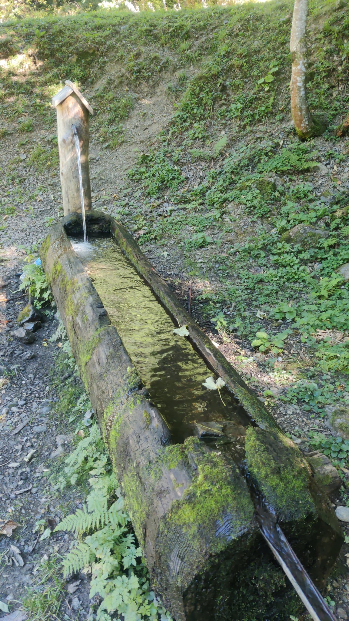 Fontaine de Champeney