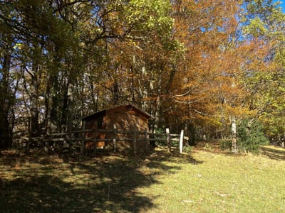 Photo de Cabane du Petit Lac