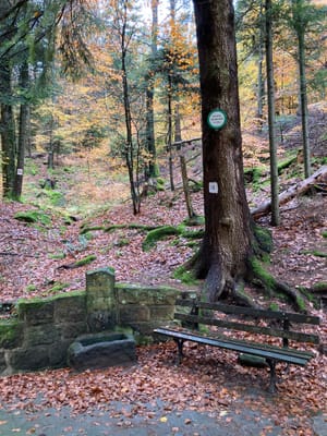 Photo de Goldbrunnen