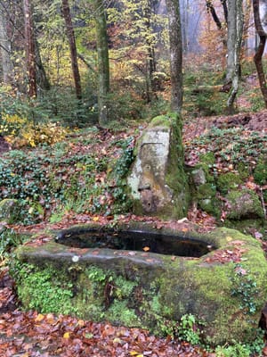 Photo de Fontaine Grenzbruenel