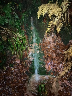Photo de Source du Schneeberg