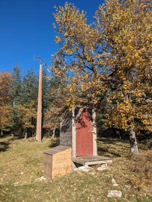 Photo de Jas Forest