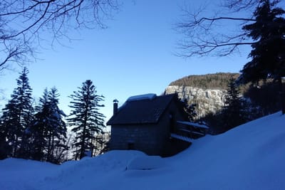 Photo de Abri forestier de la Roize