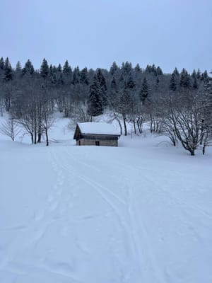 Photo de Cabane de Nave