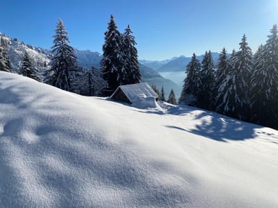 Photo de Chalet de la Platière