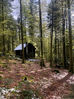 Photo de Chalet des Poncés