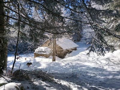 Photo de Baraque forestière de Pré Valet