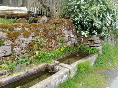 Photo de Source du Nideck