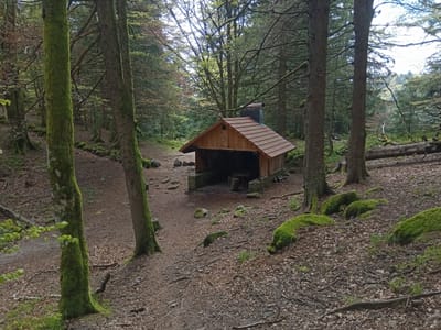Photo de Chaume des Wintergés