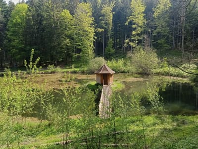Photo de Kiosque de l'étang Saint-Jean