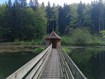 Photo de Kiosque de l'étang Saint-Jean