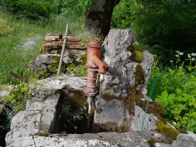 Photo de Source des hauts de Pellas