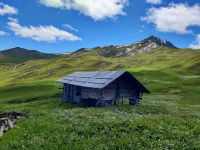 Photo de Chalet de Riondet