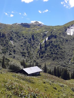Photo de Chalet de la Rotagne