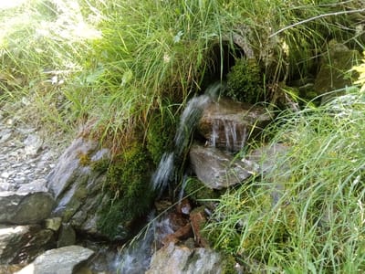 Photo de Source du Creux du Cayon