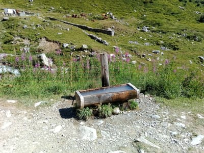 Photo de Fontaine des Barmettes
