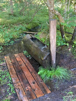 Photo de Source de la cabane à Gerbier