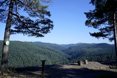 Photo de Abri de Belle Roche