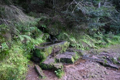 Photo de Abri du lac de la Maix