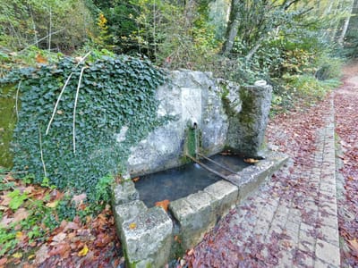Photo de Source de Nans-les-Pins
