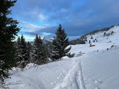 Photo de Habert de Pravouta