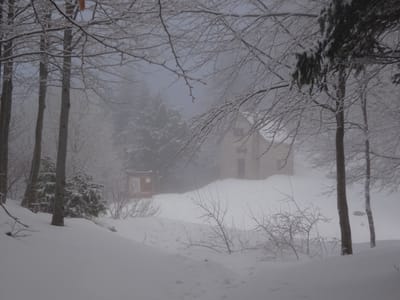 Photo de Abri forestier de la Roize