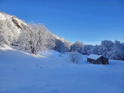 Photo de Baraque de Paille (Playe)
