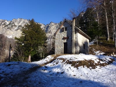 Photo de Abri forestier de la Roize