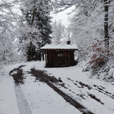 Photo de Cabane du Dersou