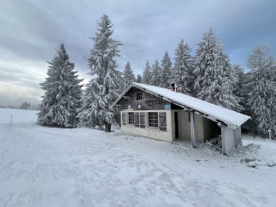 Photo de Chalet des Champis