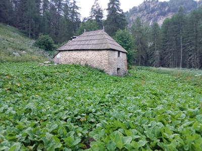 Photo de Cabane de Plan-Bas