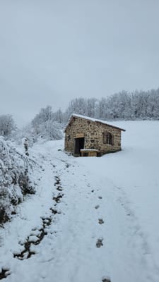 Photo de Cabane de bancillon