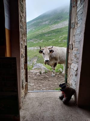 Photo de Cabane de la Lanne