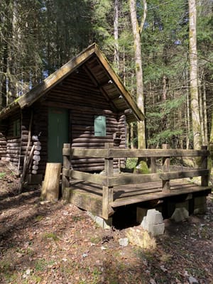 Photo de Cabane de forêt