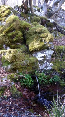 Photo de Fontaine de Caracutu