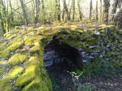 Photo de Caborde au Tartre Rochelet