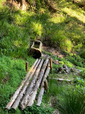 Photo de Refuge du Hirzberg