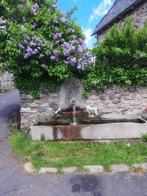 Photo de Fontaine des Gardes